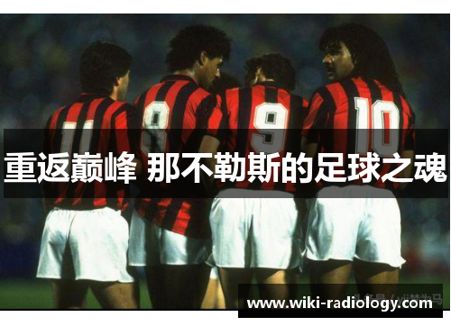 重返巅峰 那不勒斯的足球之魂